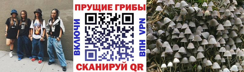 Галлюциногенные грибы мицелий  как найти   Партизанск 